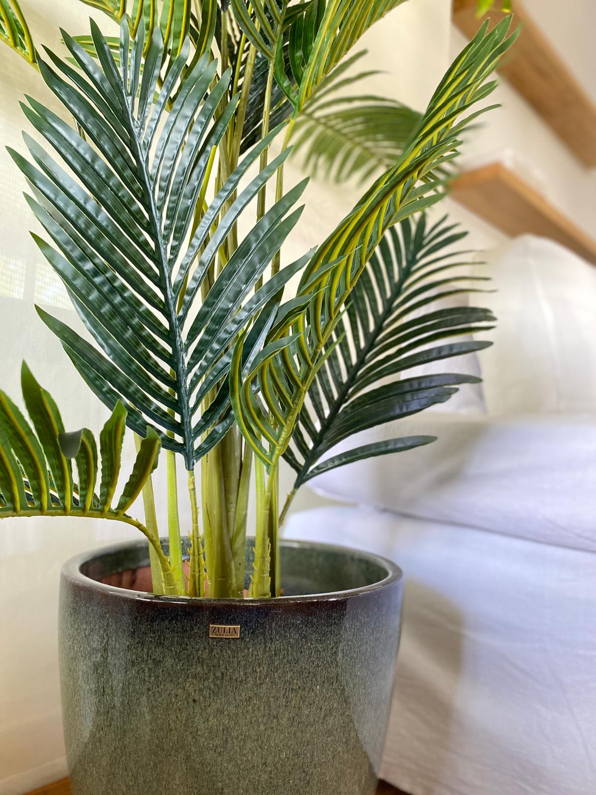 ARECA 160 CM - Imagen 2