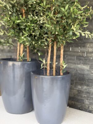 ELENA - Maceta fibrocemento laqueado - Medidas 50 H 42cm Ø - Color grafito