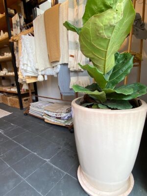 ELENA - Maceta fibrocemento laqueado - Medidas 50 H 42cm Ø - Color Beige c/plato