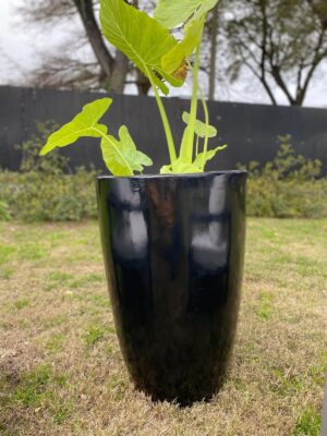 ELENA XL - Maceta fibrocemento laqueado - Medidas 77 H 53cm Ø - Color grafito Negro brillo