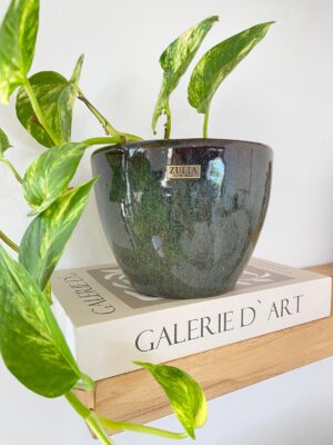 Maceta cerámica esmaltada modelo PIETRO. Medidas 17cm Ø 13cm h