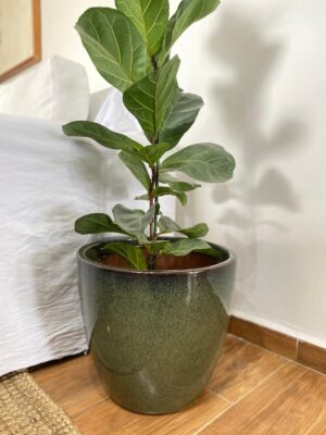 Maceta cerámica esmaltada modelo PIETRO. Medidas 37cm Ø 34cm h