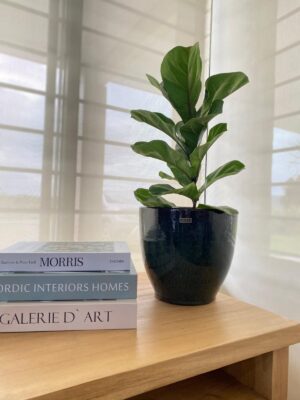 Maceta cerámica esmaltada modelo PIETRO. Medidas 23cm Ø 21cm h