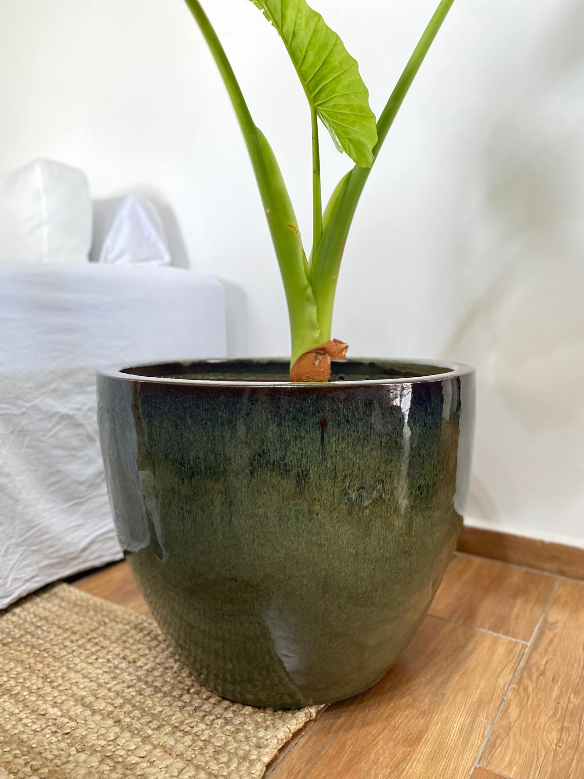 Maceta cerámica esmaltada modelo PIETRO. Medidas 48cm Ø 40cm h - Imagen 2