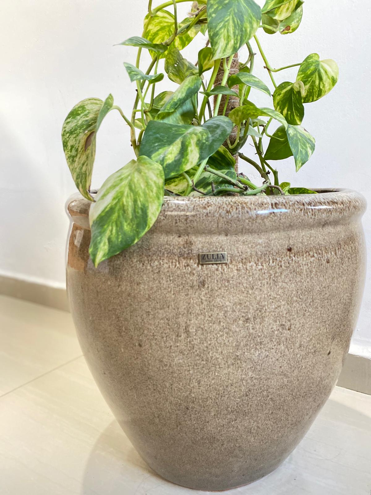 Maceta cerámica esmaltada modelo KALKI. Medidas 57cm Ø 56cm h - Imagen 3