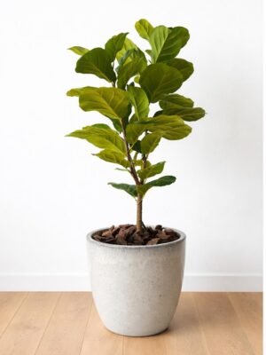 Maceta cerámica esmaltada modelo TURIN 30cm x 34 cm